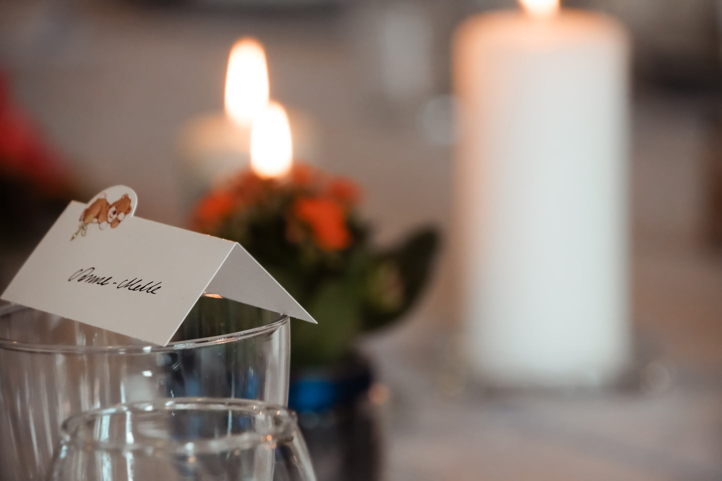 Fest & Event Fotografering | 2 timer