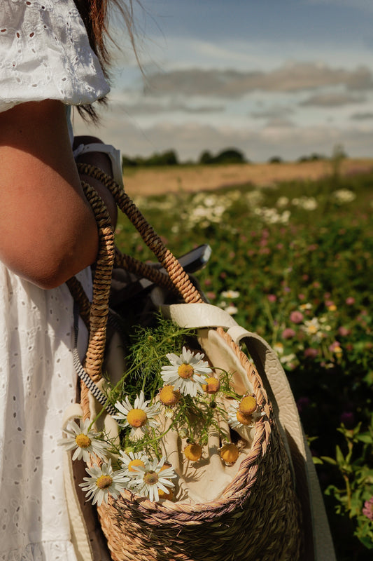 Sunday Flat-Rate Photography Package